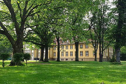 Seitliche Ansicht des Rathauses in Datteln mi Bäumen im Vordergrund